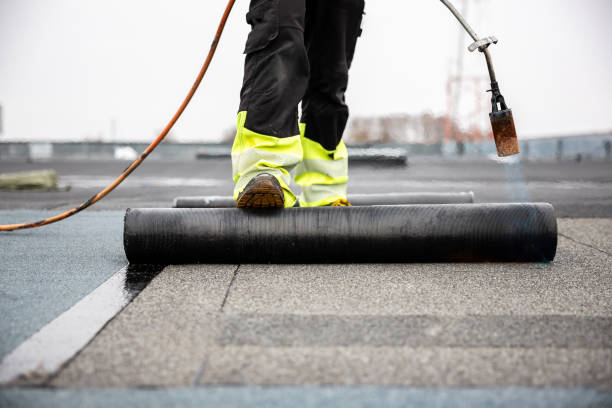 Best Cold Roofs  in Lexington, TX