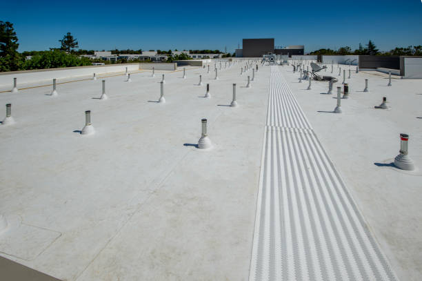 Best Sheet Metal Roofing  in Lexington, TX